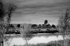 DSC_8308 e.jpg