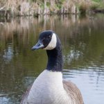 April 24, 2016-0020-Edit.jpg
