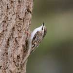 April 24, 2016-0037-Edit.jpg