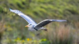 April 24, 2016-0127-Edit.jpg