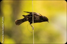 untitled-5834-Edit.jpg