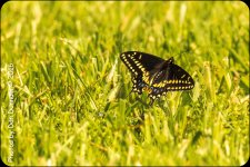 untitled-5866-Edit.jpg