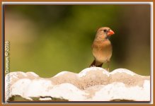 untitled-5889-Edit.jpg