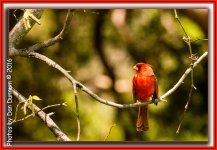 untitled-5897-Edit.jpg