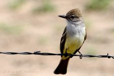 4-23-16-cr__D7K3114.jpg