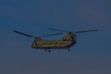 Chinook.jpg