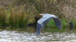 April 24, 2016-0081-Edit.jpg