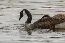 April 24, 2016-0100-Edit.jpg