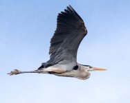 GBH Set-109.jpg