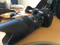 D500.jpg