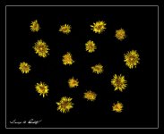 W_DSC_4615.jpg