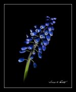 W_DSC_4639.jpg