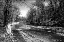 4-27-16 MetroPark HDR    1BW.jpg