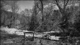 4-27-16 MetroPark HDR    7BW.jpg