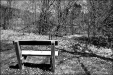 4-27-16 MetroPark HDR    13BW.jpg