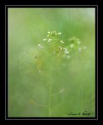 W_DSC_4646.jpg