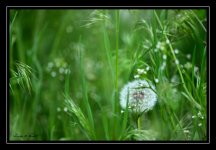 W_DSC_4658.jpg