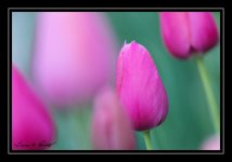 W_DSC_4676.jpg