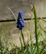 _DSC2366.jpg