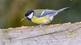 April 25, 2016-0029-Edit.jpg