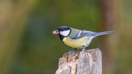 April 25, 2016-0024-Edit.jpg