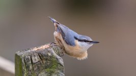April 25, 2016-0056-Edit.jpg