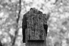 fence post.jpg