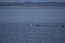 DSC_1621 -1 full.jpg