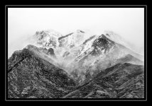W_DSC_4686.jpg