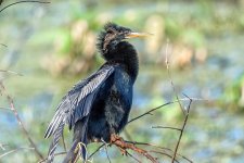 Circle B Bar Reserve.--3.jpg