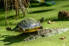 Circle B Bar Reserve.-4440.jpg