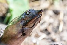 Circle B Bar Reserve.-4442.jpg