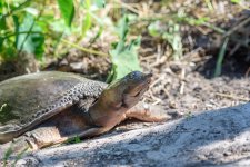 Circle B Bar Reserve.-4444.jpg