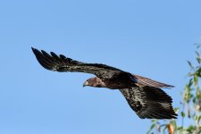 Circle B Bar Reserve.--7.jpg