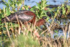 Circle B Bar Reserve.--13.jpg