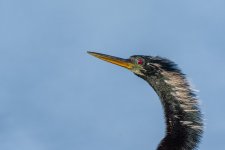 Circle B Bar Reserve.--15.jpg