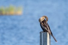 Circle B Bar Reserve.--16.jpg