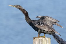 Circle B Bar Reserve.--18.jpg