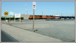 DSC_3200.jpg