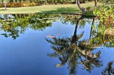 Naples,Botanical Gardens--10.jpg