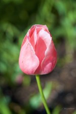_AAA7622 - Version 2.jpg
