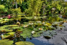 Naples,Botanical Gardens- (1000x665).jpg