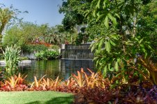 Naples,Botanical Gardens--3 (1000x666).jpg