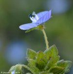 DSC_4598.jpg