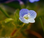 DSC_4599.jpg