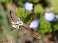 DSC_4628.jpg