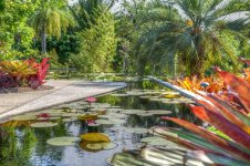 Naples,Botanical Gardens-301 (1000x666).jpg
