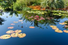 Naples,Botanical Gardens-4283 (1000x668).jpg