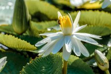 Naples,Botanical Gardens-8199 (1000x667).jpg