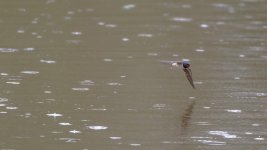 May 01, 2016-0096-Edit.jpg